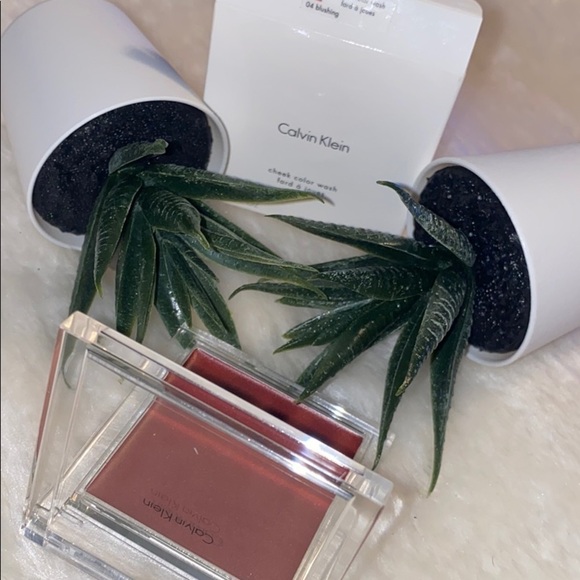 Calvin Klein cheek color wash 04 blushing - Picture 10 of 12
